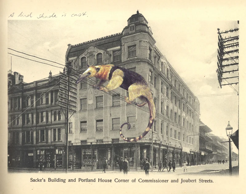 Gracia Haby, In search of a time the heart does not recall (detail), 2009, artists' book