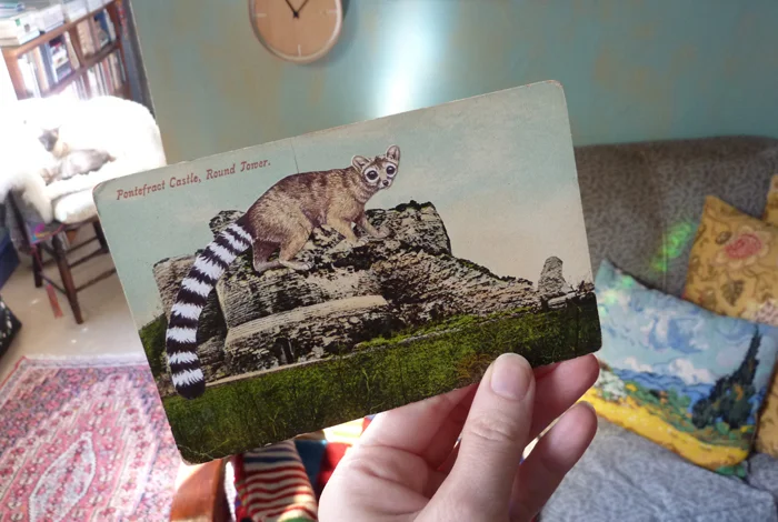 Gracia Haby, postcard collage featured in the zine A menagerie of common and exotic animals , 2010