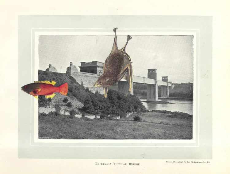 Gracia Haby, Passing through, undetected for the time being (A Souvenir of Bangor) , 2009, artists' book