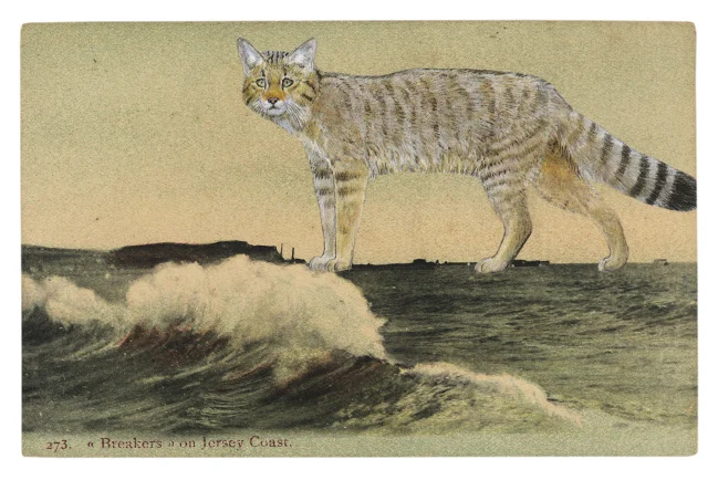 Gracia Haby, A phantasm off the Jersey Coast , 2012, postcard collage
