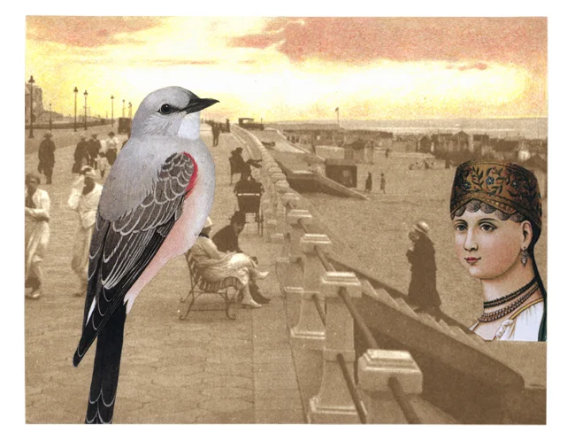 Gracia Haby & Louise Jennison, As inclination directs, 2013, artists' book (one of ten cover variations)