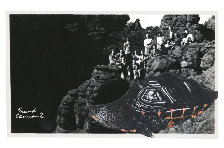 Gracia Haby, A whole new kind of formation , 2012, postcard collage