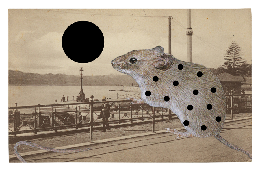 Gracia Haby, After Vanguard , 2013, postcard collage