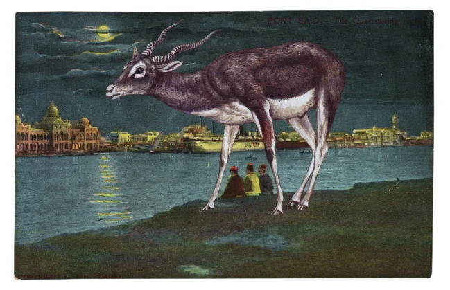 Gracia Haby, Talking by moonlight bright , 2011, postcard collage