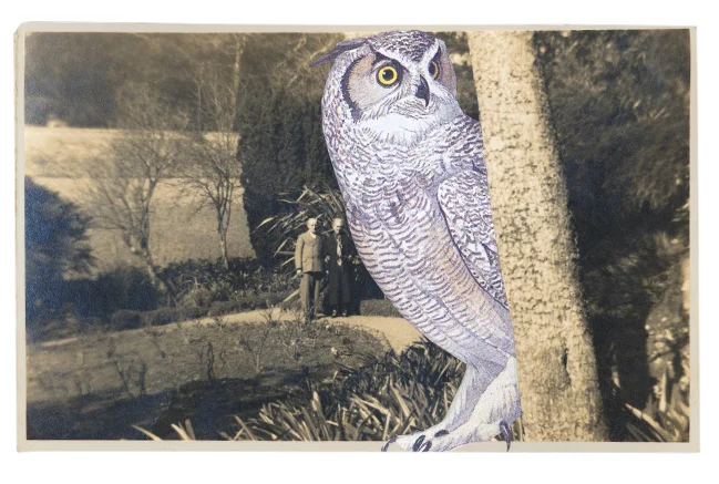 Gracia Haby, I have you covered , 2012, postcard collage