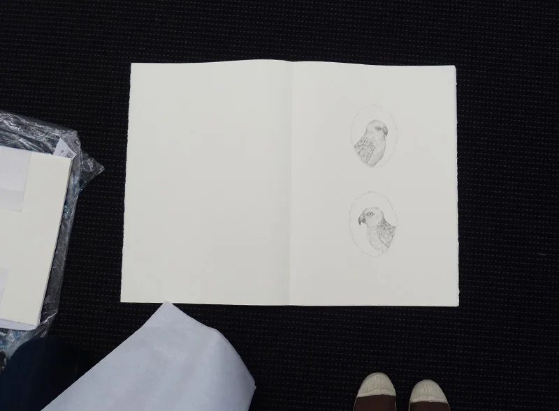 Louise Jennison, A Year of Southern Hemisphere Birds, 2013, artists' book (in progress)