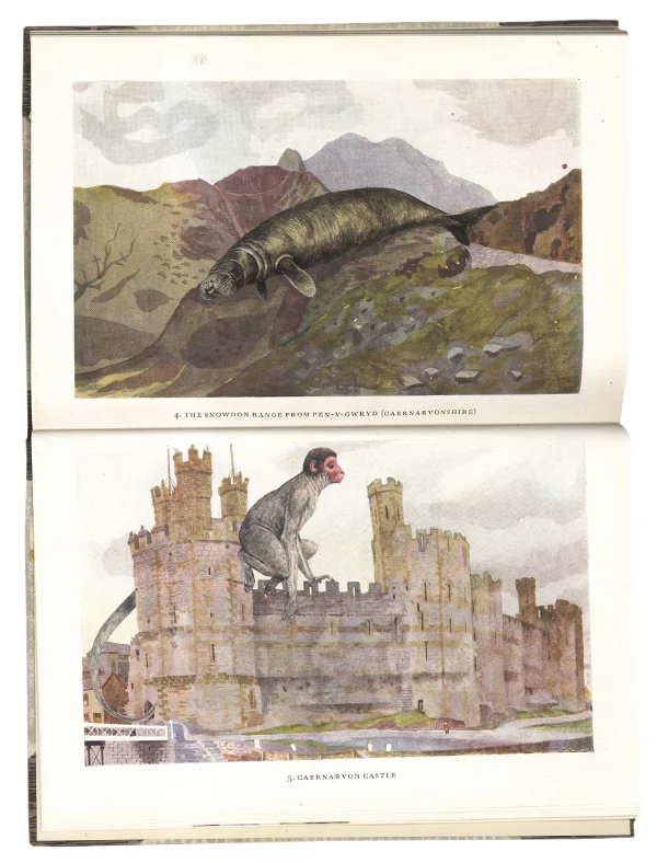 Gracia Haby, Testing the laws of hazard , 2012, artists' book