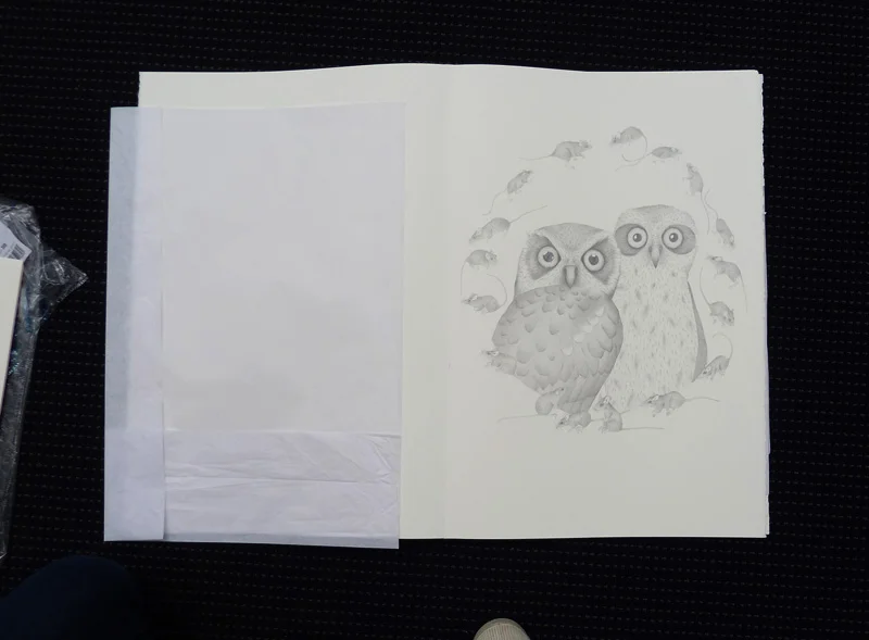 Louise Jennison, A Year of Southern Hemisphere Birds , 2013, artists' book