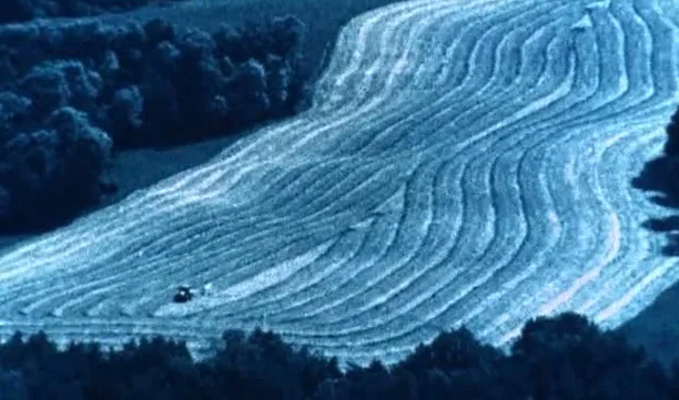 Still from differently, Molussia (Director: Nicolas Rey), MIFF 2013