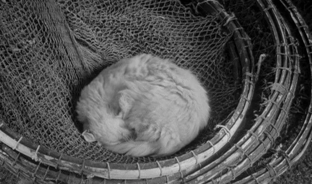 Still from La Pointe Courte (Director: Agnès Varda)