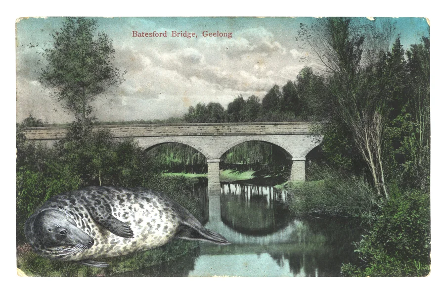 Gracia Haby, Wet whiskers drying , 2013, postcard collage