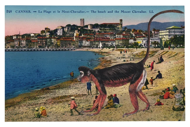 Gracia Haby, To give chase , 2012, postcard collage