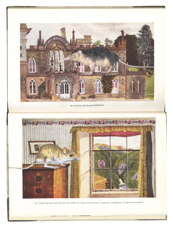 Gracia Haby, Testing the laws of hazard , 2012, artists' book