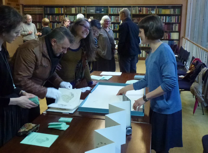 A Year of Southern Hemisphere Birds and A Flight of Twelve Southern Hemisphere Birds in the Leigh Scott Room, Baillieu Library, Melbourne University, 2013