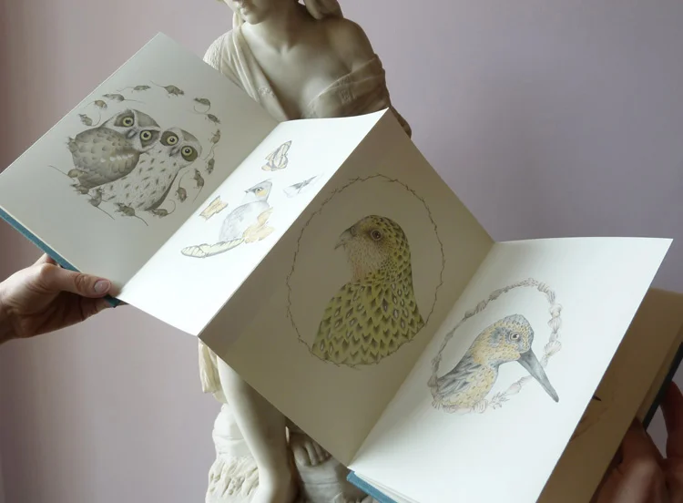 Louise Jennison, A Flight of Twelve Southern Hemisphere Birds , 2013, artists' book