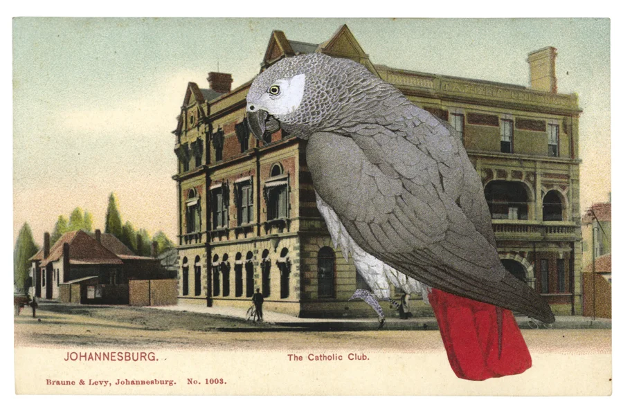 Gracia Haby, Shadowing your every step through Johannesburg's streets wide , 2012, postcard collage, from the zine A Postcard as Measuring Device , 2013