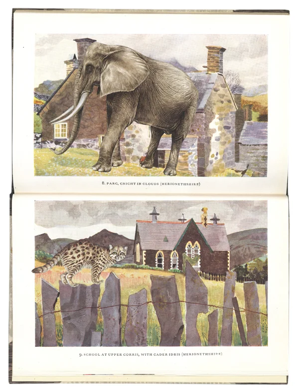 Gracia Haby, Testing the laws of hazard , 2012, artists’ book
