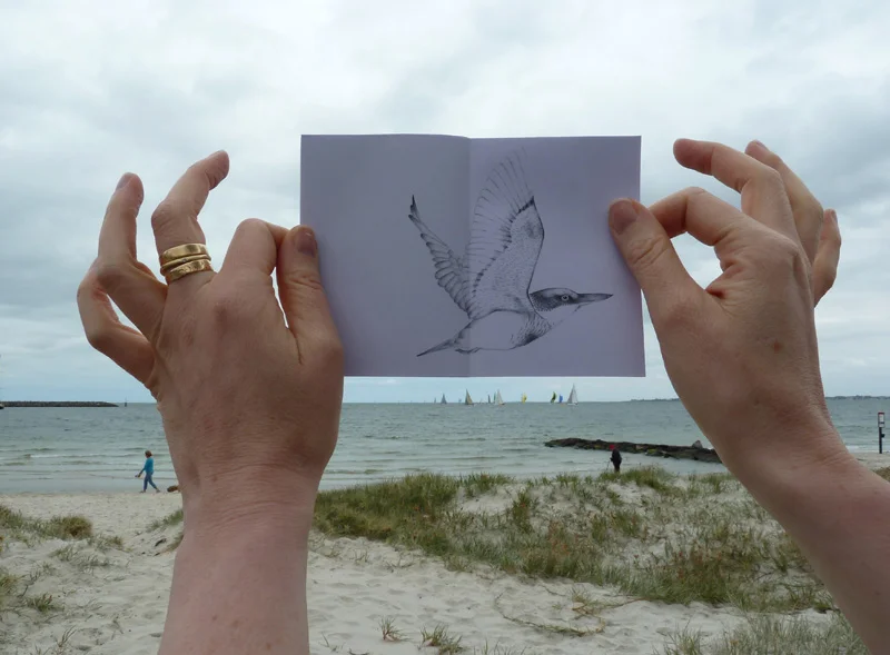 Louise Jennison, 38.1500° S, 144.3500° E , 2013, zine