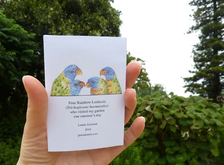 Louise Jennison, Four Rainbow Lorikeets (Trichoglossus haematodus) who visited my garden one summer’s day , 2014, zine
