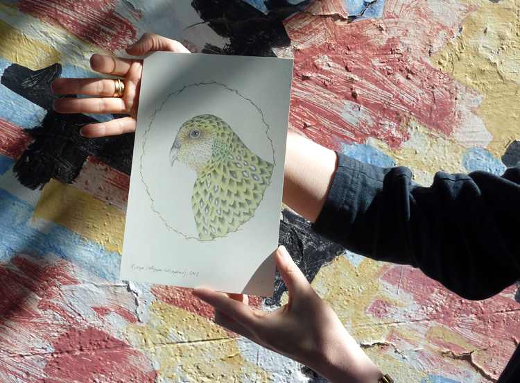 Louise Jennison, Kakapo (from the artists' book A Flight of Twelve Southern Hemisphere Birds ), 2013, hand-coloured print