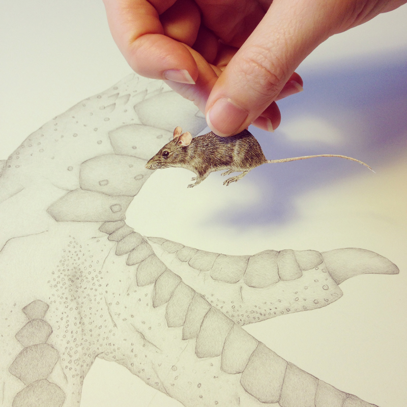 On Sunday's drawing board, a House mouse and a Moa (in part)