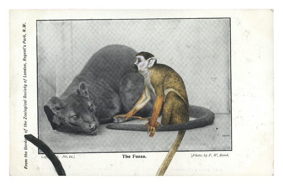 Gracia Haby, Make-believe sat vigilant in the small enclosure , 2014, postcard collage