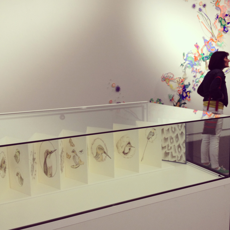 Louise Jennison's artists' book, A Flight of Twelve Southern Hemisphere Birds , exhibited in the 2014 National Works on Paper exhibition, Mornington Peninsula Regional Gallery
