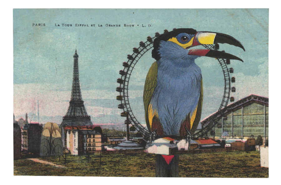 Gracia Haby, They then reassembled and started all over again , 2014, postcard collage