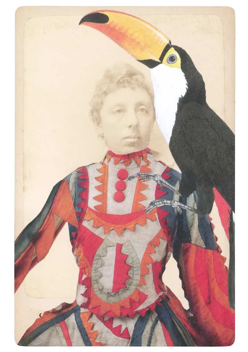 Gracia Haby, In the borrowed costume for the Buffoon's Wife from Chout, with cane-stiffened felt and cotton, c. 1921, and a Toco toucan (Ramphastos toco ), 2014, collage on cabinet card