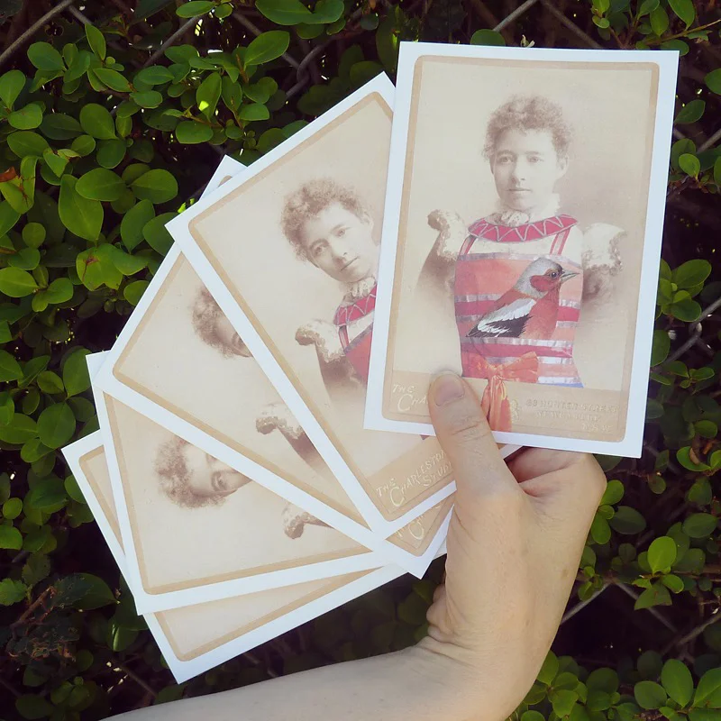 A fan of new cards , available at Milly Sleeping in Carlton and through our online store