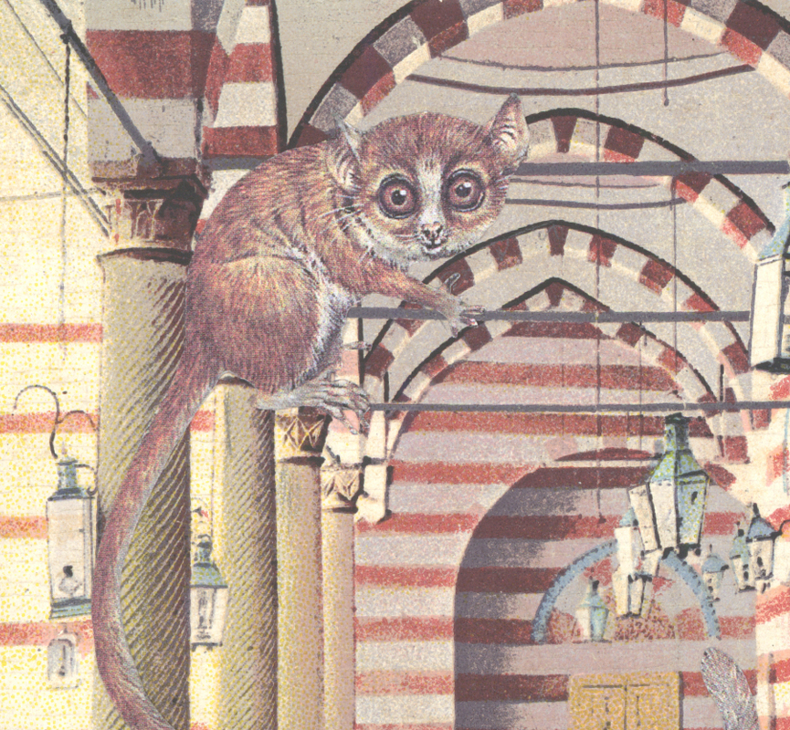 A Rufous mouse lemur ( Microcebus rufus ) collage from our artists' book, Because I Like You , 2016