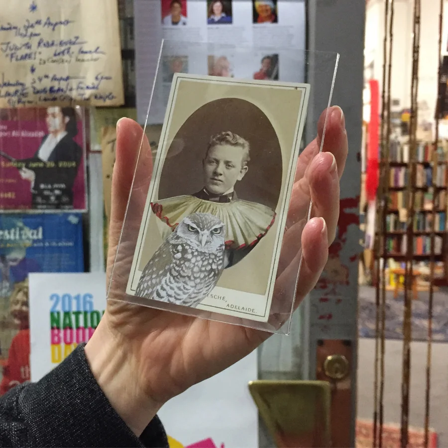 Earlier, installing Salvaged Relatives both drawn and collaged in the windows of Obus (Cathedral Arcade) and the Collected Works bookstore (Nicholas Building), as part of BLINDSIDE's On the Verge festival, 2016