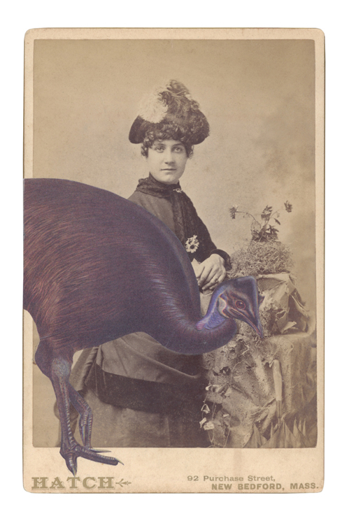 Our artists' book, Prattle, scoop, trembling : a flutter of Australian birds , is taking form