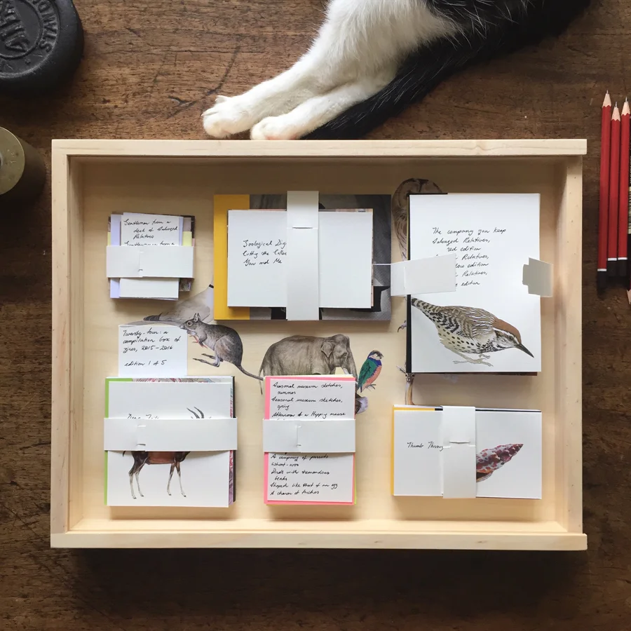 Gracia Haby & Louise Jennison, Twenty-four: a compilation box of zines, 2015–2016 , edition 1 of 5, box set, 2017