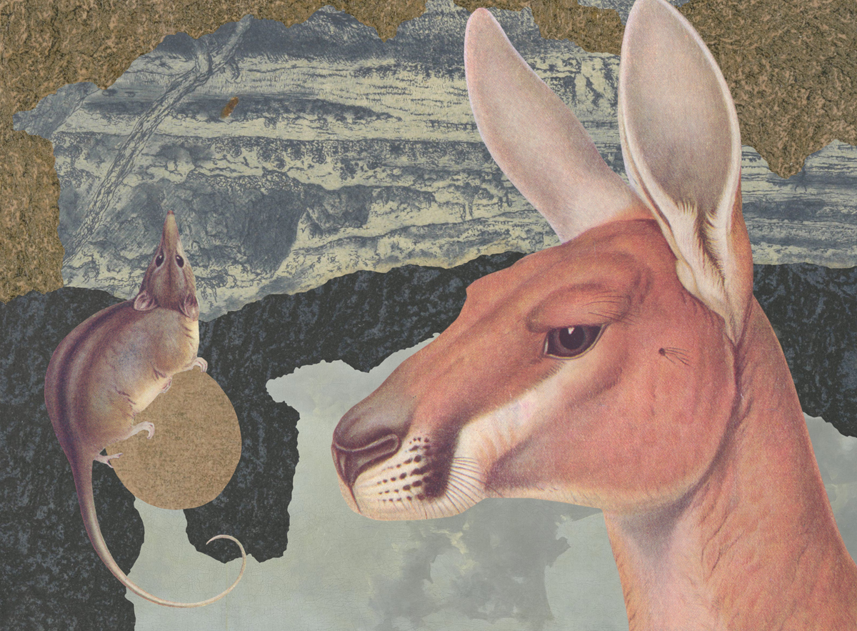 Gracia Haby & Louise Jennison, (proposed) Melbourne Art Tram, 2017