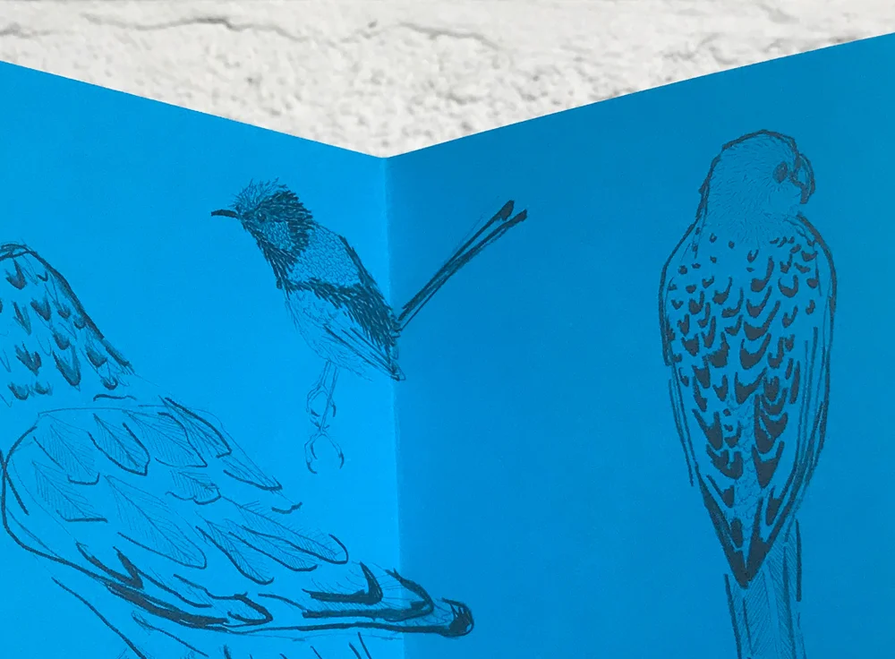 museum_sketches_LouiseJennison_06.jpg