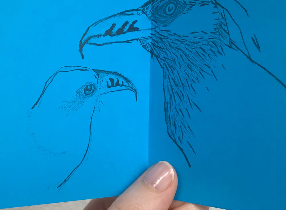 museum_sketches_LouiseJennison_08.jpg