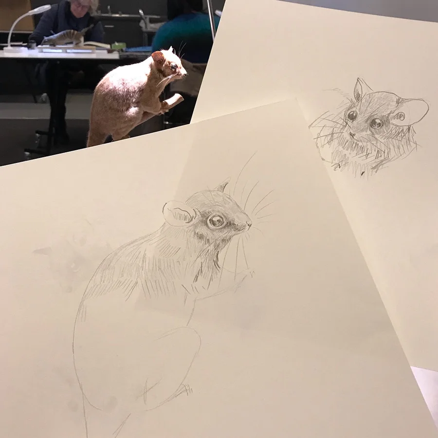 gracialouise_APW_process44.jpg