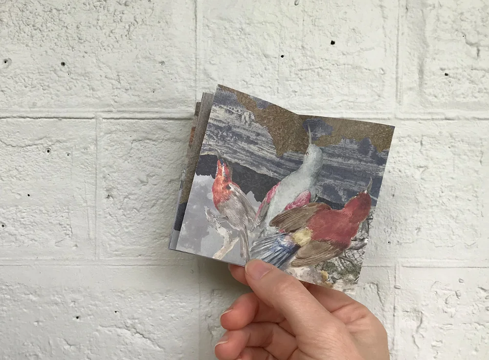 gracialouise_Looped_zines20.jpg