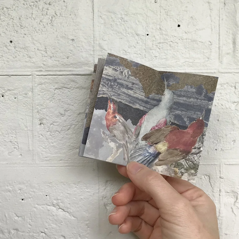 Looped_zines_gracialouise19.jpg