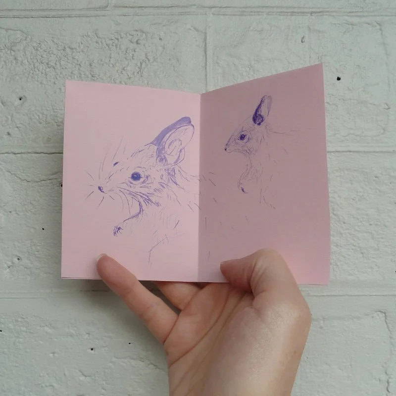 gracialouise_hoppingmouse03.jpg