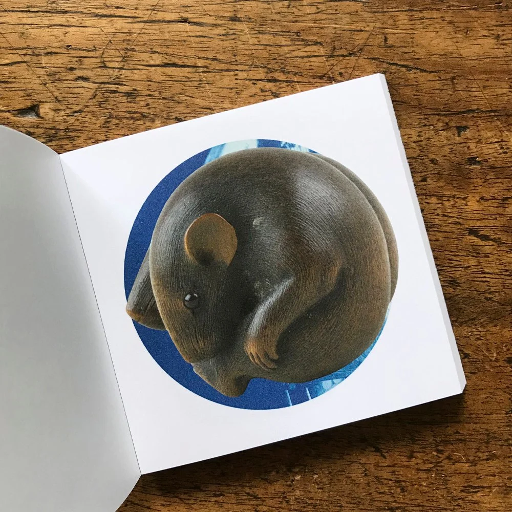 gracialouise_netsuke_zine01.jpg