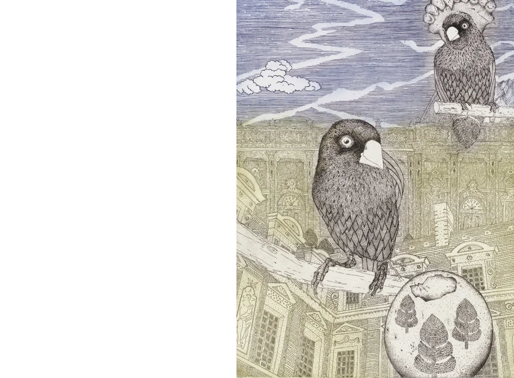 Gracia Haby & Louise Jennison, Two views of a Gouldian finch , etching with hand-colouring. Image drawn directly on to the copper plate by the Artists and processed, proofed and printed in an edition of 20 (plus proofs), in three colours from one plate, by APW Printer Martin King and hand-coloured by the Artists, at Australian Print Workshop, Melbourne, 2019.