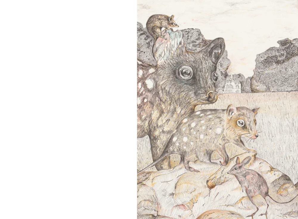 Gracia Haby & Louise Jennison, The grounds of the Château de Malmaison , lithograph with hand-colouring. Image drawn directly on to the lithographic plates by the Artists and processed, proofed and printed in three colours from three plates, by APW Printer Martin King and hand-coloured by the Artists, at Australian Print Workshop, Melbourne, 2019.