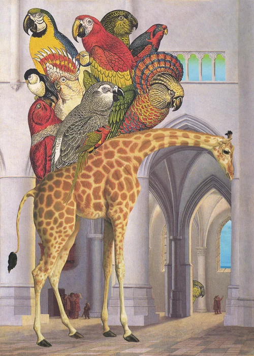 Gracia Haby & Louise Jennison, And Zarafa Kept Walking , 2013, four-colour lithographic offset print on Fabriano Artistico 300gsm traditional white hot-press paper, 33cm X 23cm