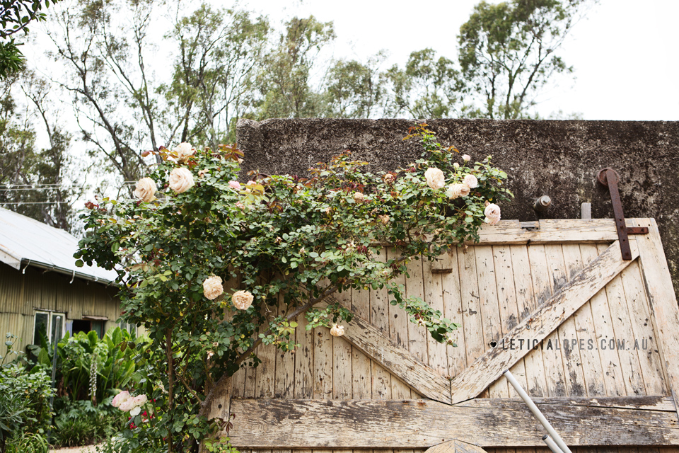wedding-euroa-butter-factory-4.jpg