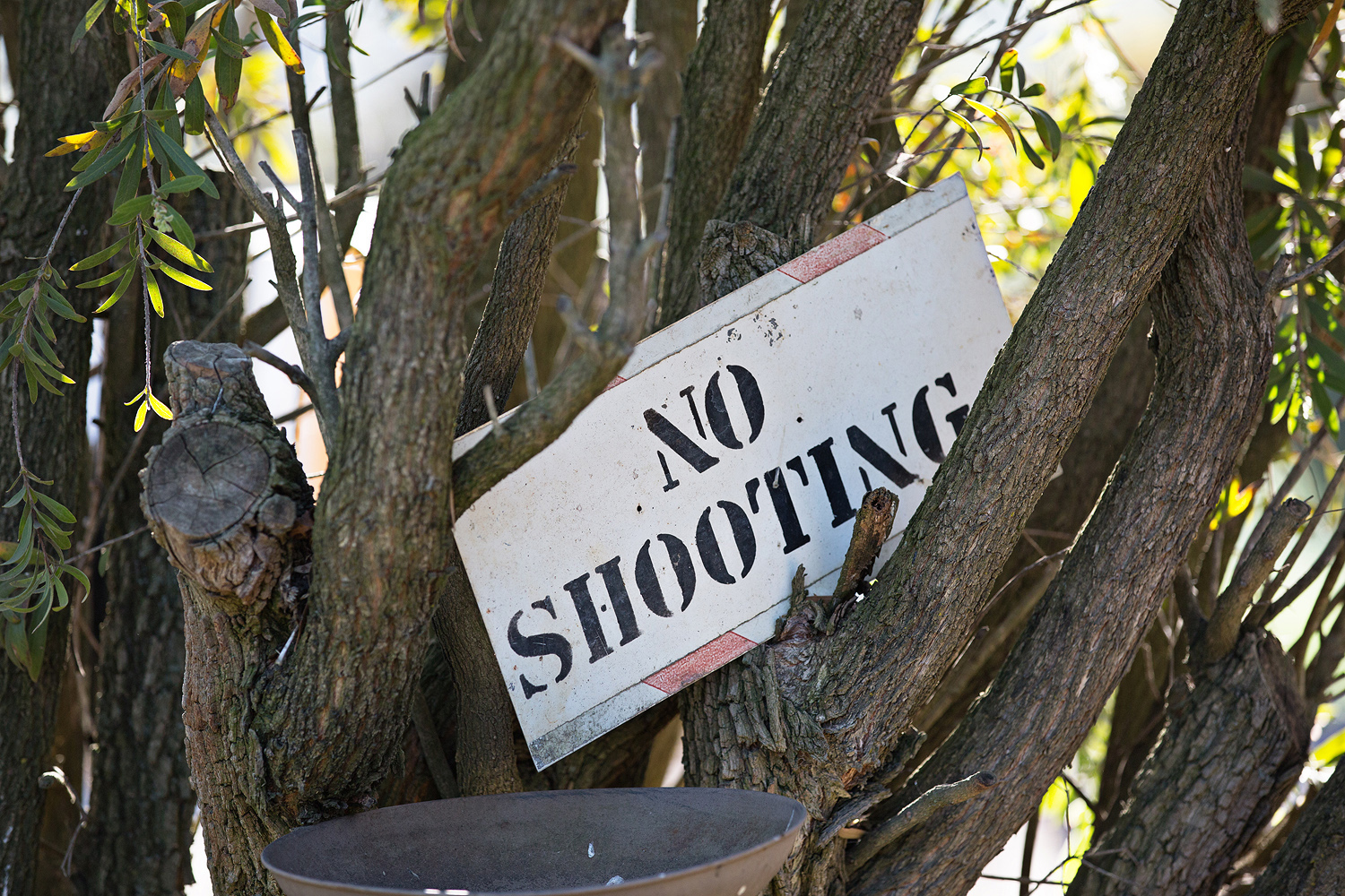 shepparton-photographer-69.jpg