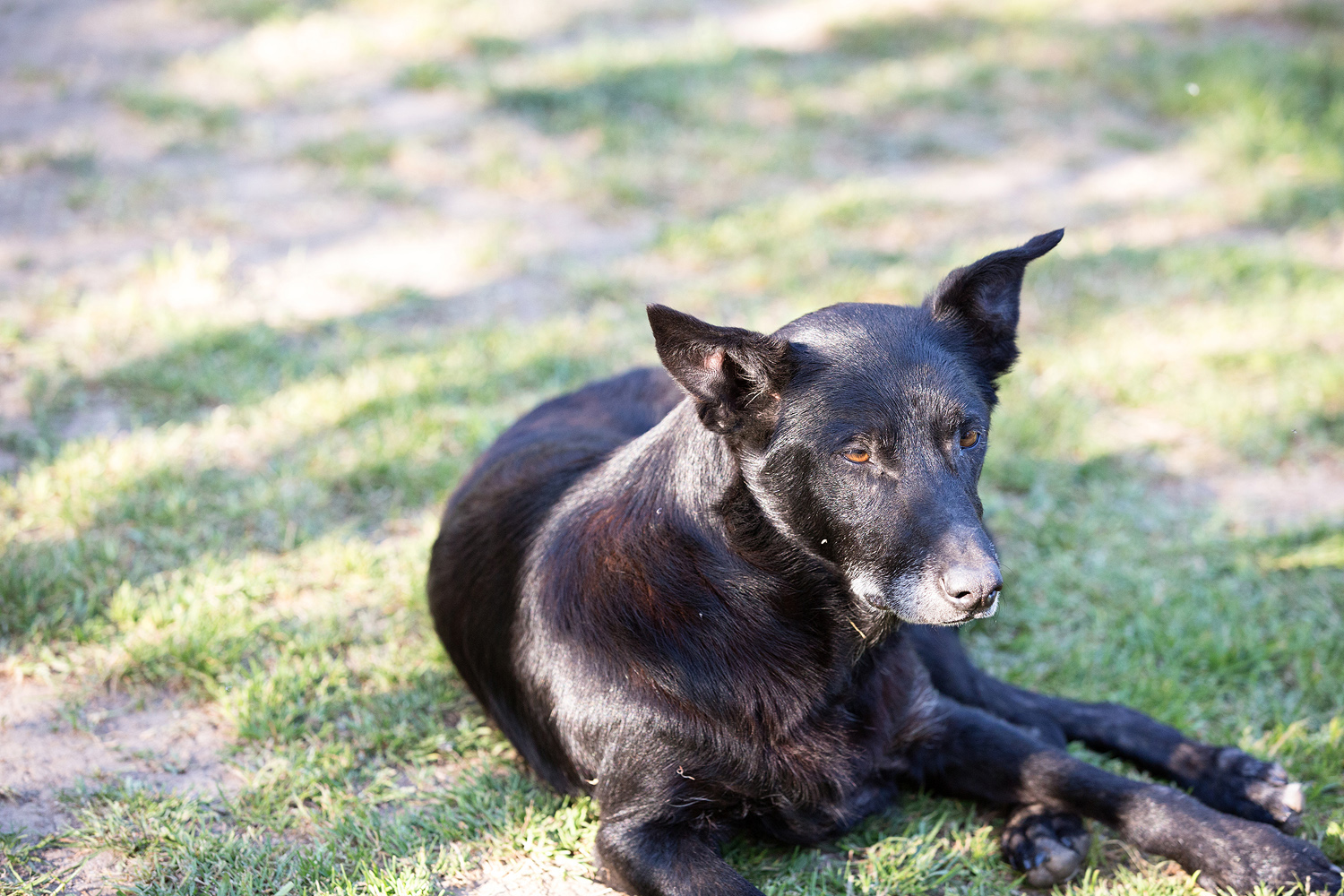 shepparton-photographer-91.jpg