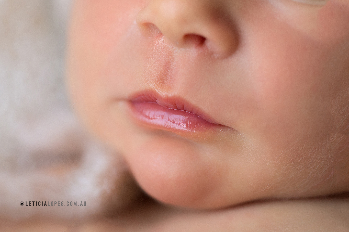 shepparton-newborn-photographer8.jpg