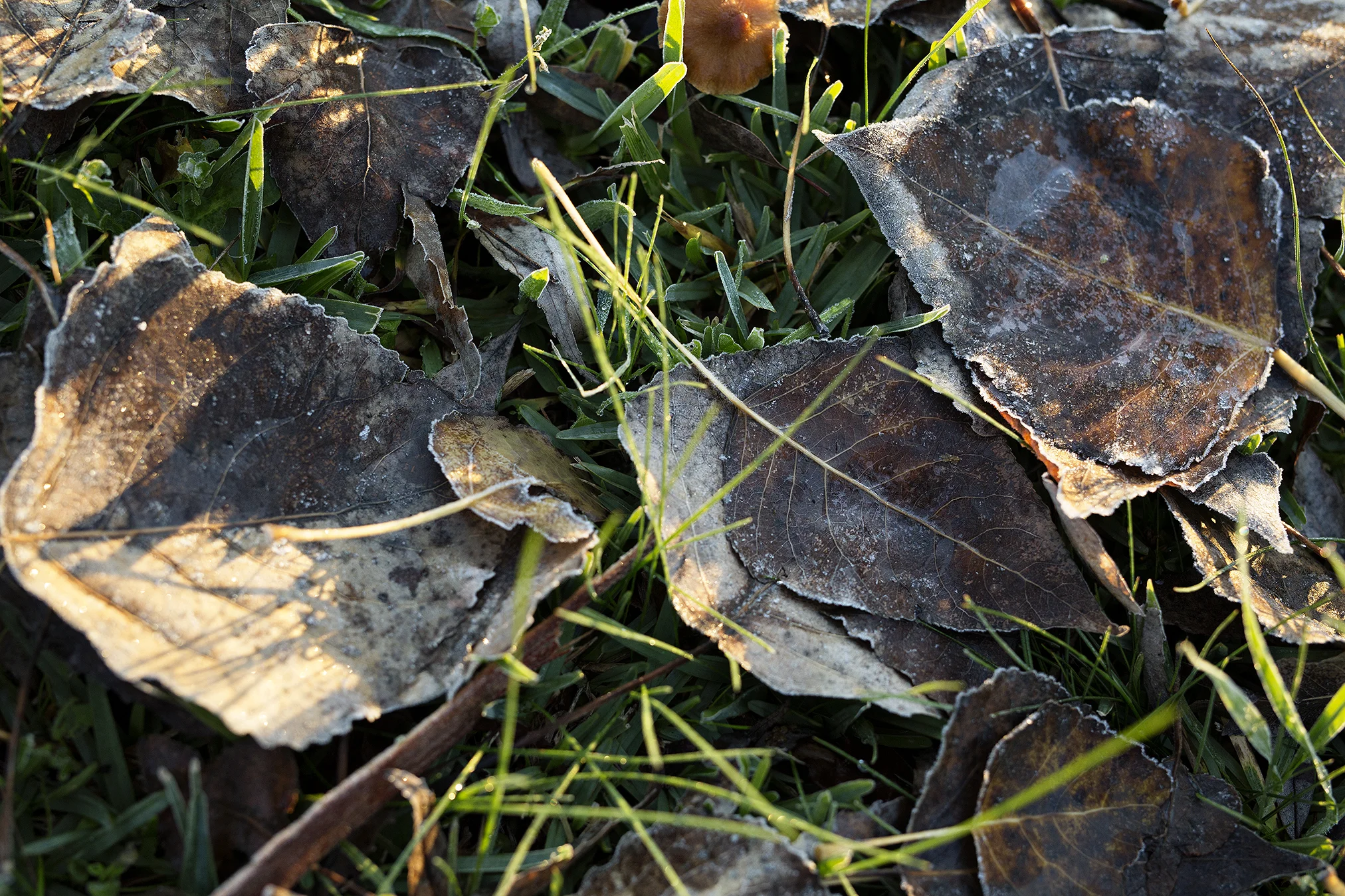 Clare and Dean blog 2 web.jpg